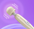 BB Pro Plug-in Wand Vibrator