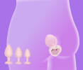 Three Piece Butt Plug Beginner Set