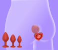 3pc Butt Plug Anal Training Set