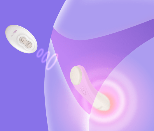 Hidden Pleasure Panty Vibrator with Remote